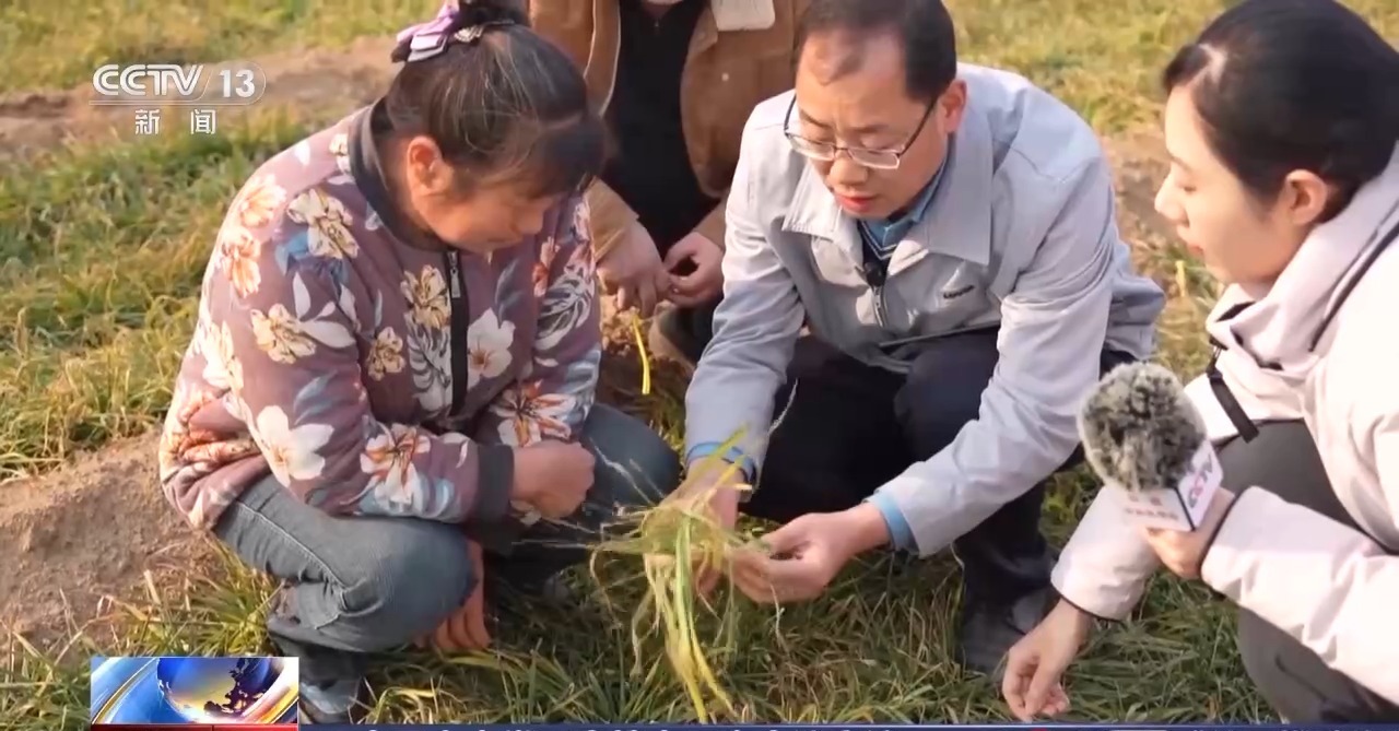 
北京广安门中医院黄牛代挂号电话票贩子号贩子网上预约挂号,住院检查加快,一线调研丨因地制宜强农业 田管方案也实现了“慧”种地