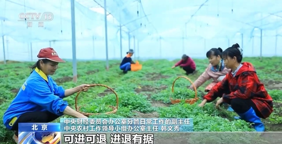 
杭州各大医院黄牛代挂号电话票贩子号贩子网上预约挂号,住院检查加快,如何完善城乡融合发展体制机制？中央一号文件作出部署→