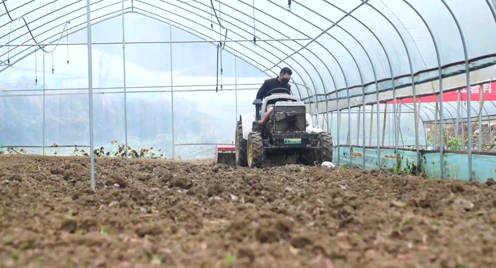 
天津肿瘤医院黄牛代挂号电话票贩子号贩子网上预约挂号,住院检查加快,万象“耕”新 春潮涌动沃野间