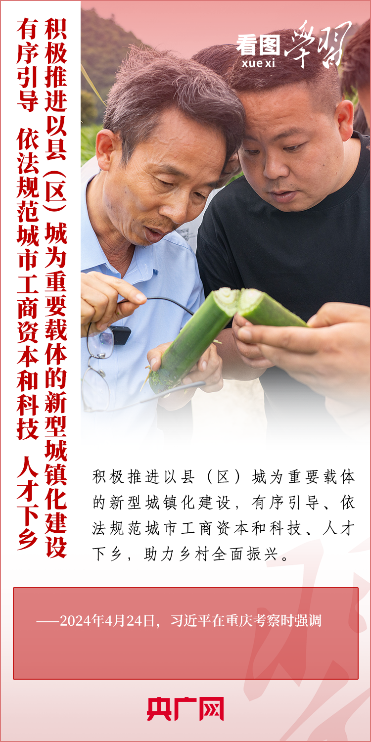 
浙江第一医院黄牛代挂号电话票贩子号贩子网上预约挂号,住院检查加快,看图学习·奋进的春天丨积极发展乡村富民产业 总书记这样论“三农”