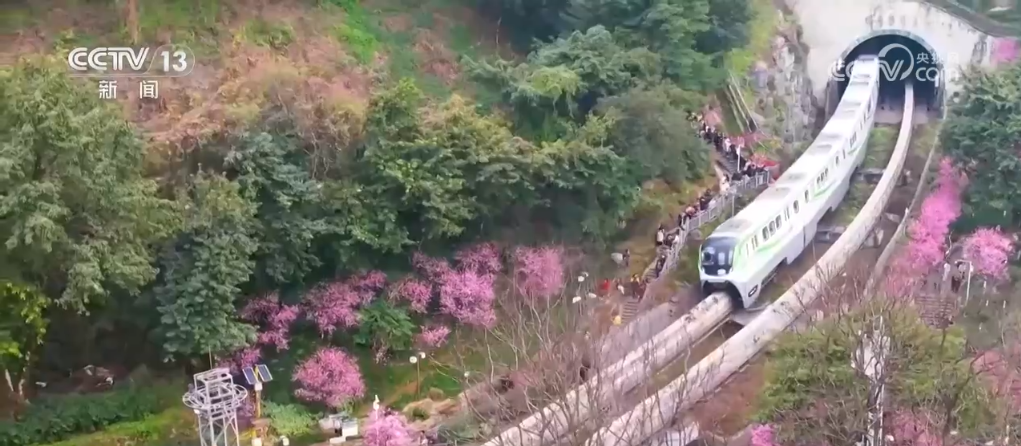 
北京大学第三医院黄牛代挂号电话票贩子号贩子网上预约挂号,住院检查加快,寻一片花海 沐浴春风暖阳 解锁打开春天的“N”种方式