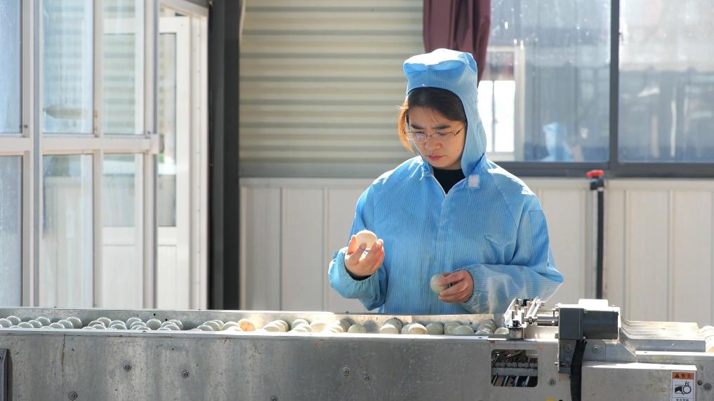 
中国医学科学院北京协和医院黄牛代挂号电话票贩子号贩子网上预约挂号,住院检查加快,两会·行囊里的民生密码丨全国人大代表鲁曼：一幅羽毛画 绘就乡村振兴新图景