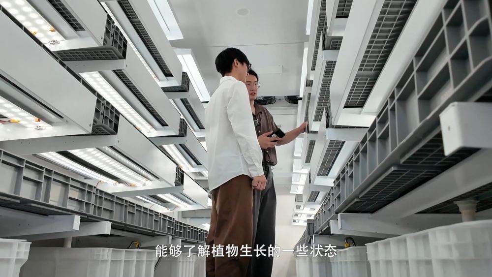 
长沙各大医院黄牛代挂号电话票贩子号贩子网上预约挂号,住院检查加快,新华视点｜兴农一线看科技