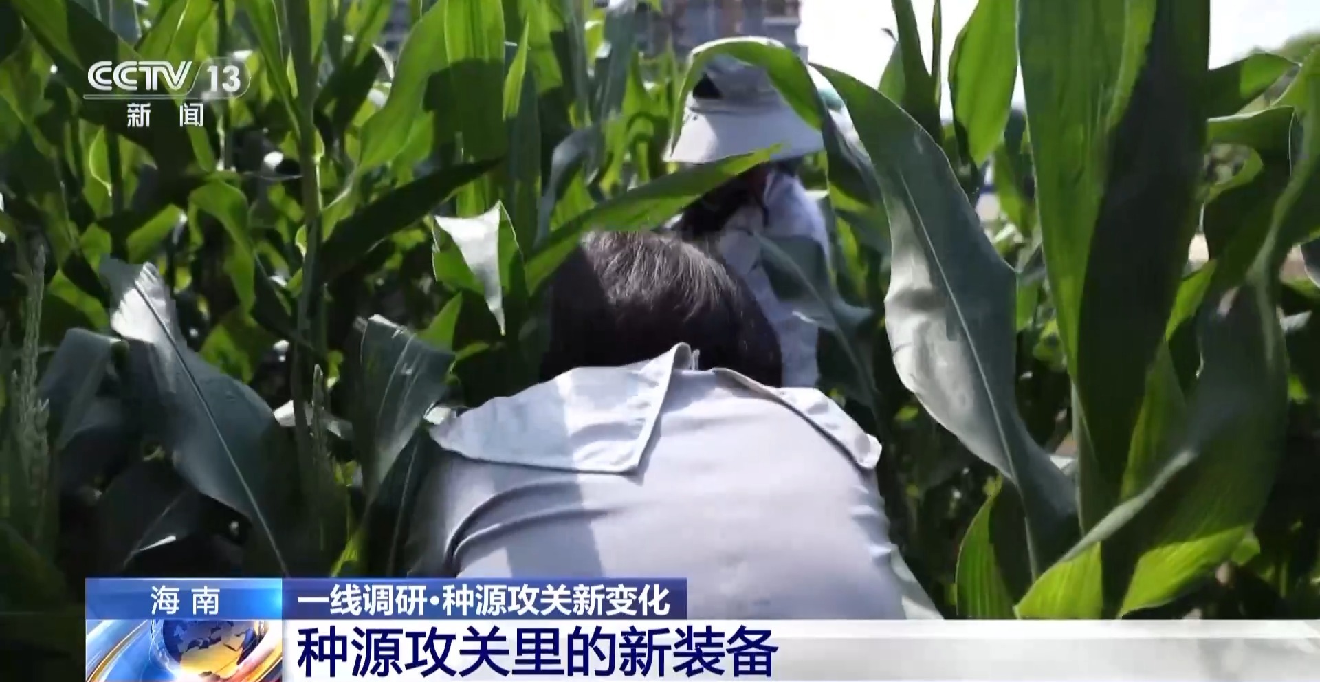 
山东大学齐鲁医院黄牛代挂号电话票贩子号贩子网上预约挂号,住院检查加快,AI下田 种业上分 看AI训练师如何给棉花“刷脸打卡”