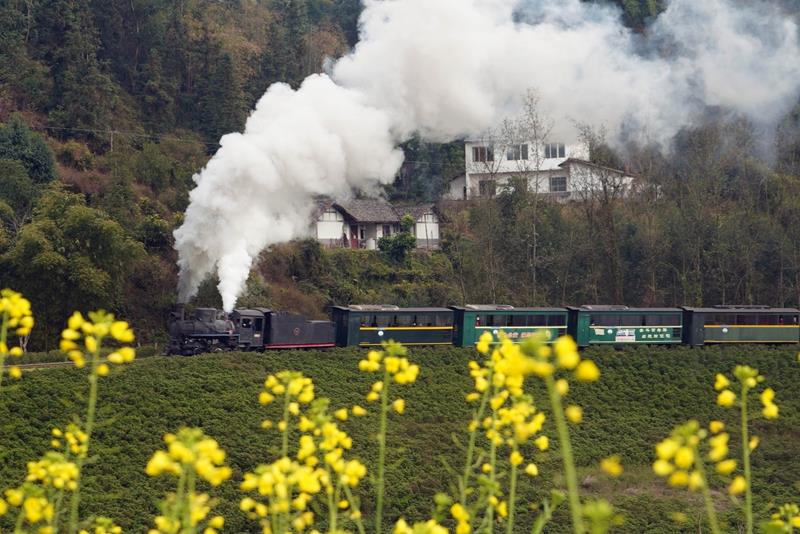 
湖南中医附一医院黄牛代挂号电话票贩子号贩子网上预约挂号,住院检查加快,奋进的春天丨不负春时农桑忙