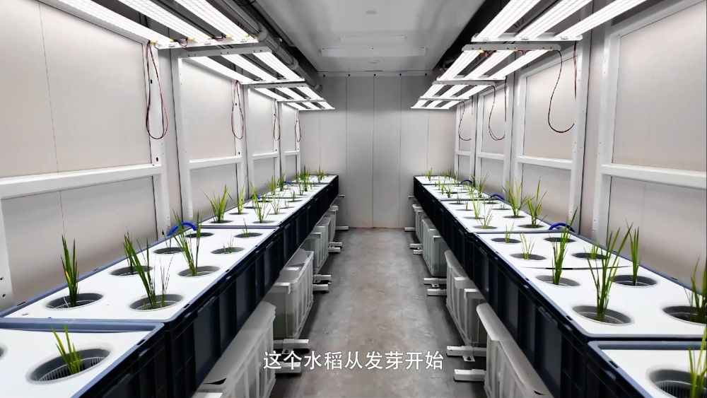 
长沙各大医院黄牛代挂号电话票贩子号贩子网上预约挂号,住院检查加快,新华视点｜兴农一线看科技