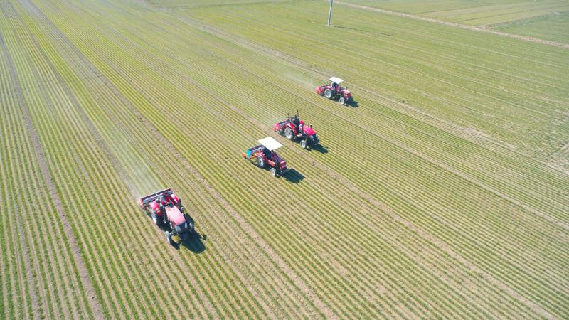 
湖南中医附一医院黄牛代挂号电话票贩子号贩子网上预约挂号,住院检查加快,奋进的春天丨不负春时农桑忙