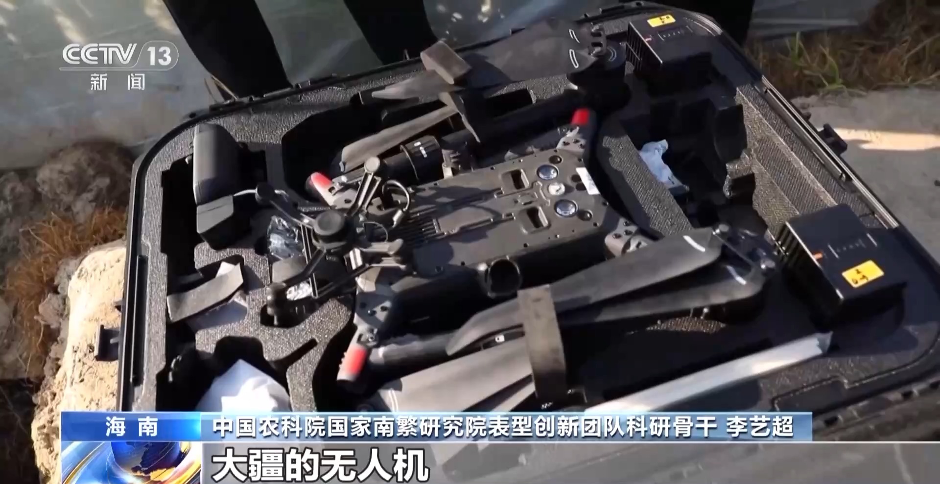 
山东大学齐鲁医院黄牛代挂号电话票贩子号贩子网上预约挂号,住院检查加快,AI下田 种业上分 看AI训练师如何给棉花“刷脸打卡”