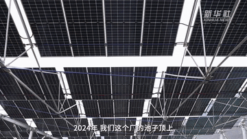 
南方医科大学南方医院黄牛代挂号电话票贩子号贩子网上预约挂号,住院检查加快,代表委员履职故事｜全国人大代表李丽丽：推动污水处理更绿色低碳 助力可持续发展