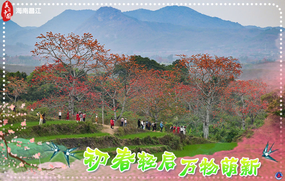 
东部战区总医院黄牛代挂号电话票贩子号贩子网上预约挂号,住院检查加快,海报短视频｜美丽中国：初春轻启 万物萌新