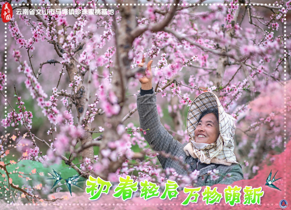 
东部战区总医院黄牛代挂号电话票贩子号贩子网上预约挂号,住院检查加快,海报短视频｜美丽中国：初春轻启 万物萌新