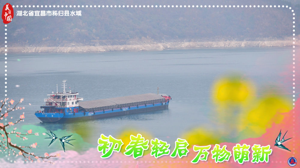 
东部战区总医院黄牛代挂号电话票贩子号贩子网上预约挂号,住院检查加快,海报短视频｜美丽中国：初春轻启 万物萌新