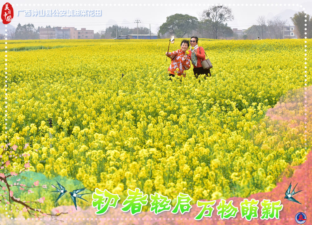 
东部战区总医院黄牛代挂号电话票贩子号贩子网上预约挂号,住院检查加快,海报短视频｜美丽中国：初春轻启 万物萌新