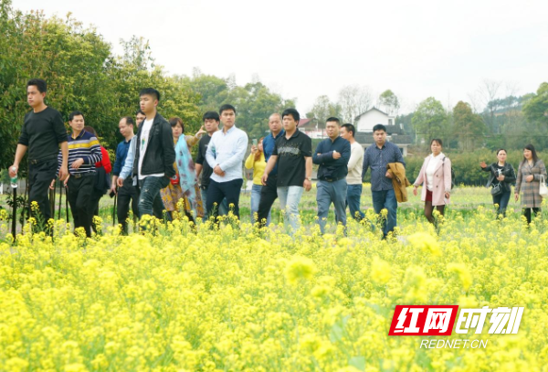 
北京世纪坛医院黄牛代挂号电话票贩子号贩子网上预约挂号,住院检查加快,好评中国丨让人才潮涌在希望的田野上