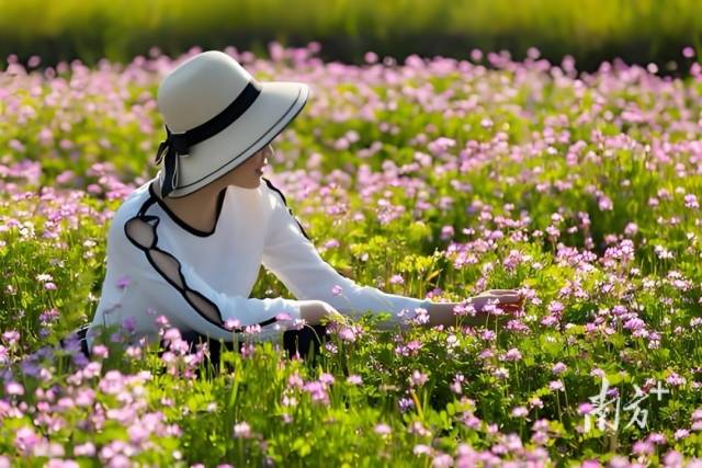 
广州肿瘤医院黄牛代挂号电话票贩子号贩子网上预约挂号,住院检查加快,文化中国行·立春｜福到人间草木新，轻鞭春牛祈丰年