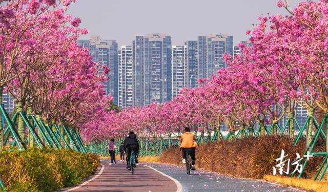 
广州肿瘤医院黄牛代挂号电话票贩子号贩子网上预约挂号,住院检查加快,文化中国行·立春｜福到人间草木新，轻鞭春牛祈丰年