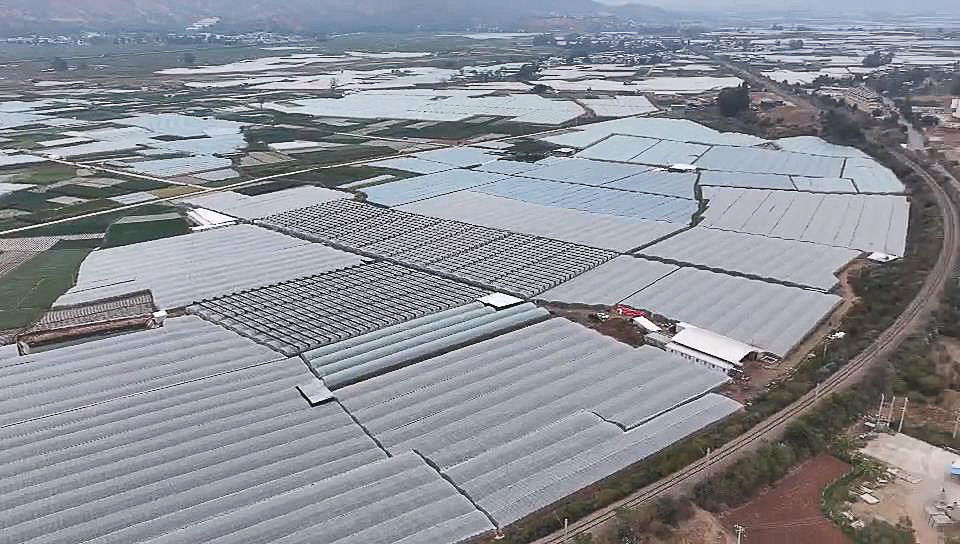 
杭州西溪医院黄牛代挂号电话票贩子号贩子网上预约挂号,住院检查加快,从“抢财神”到“送财神”