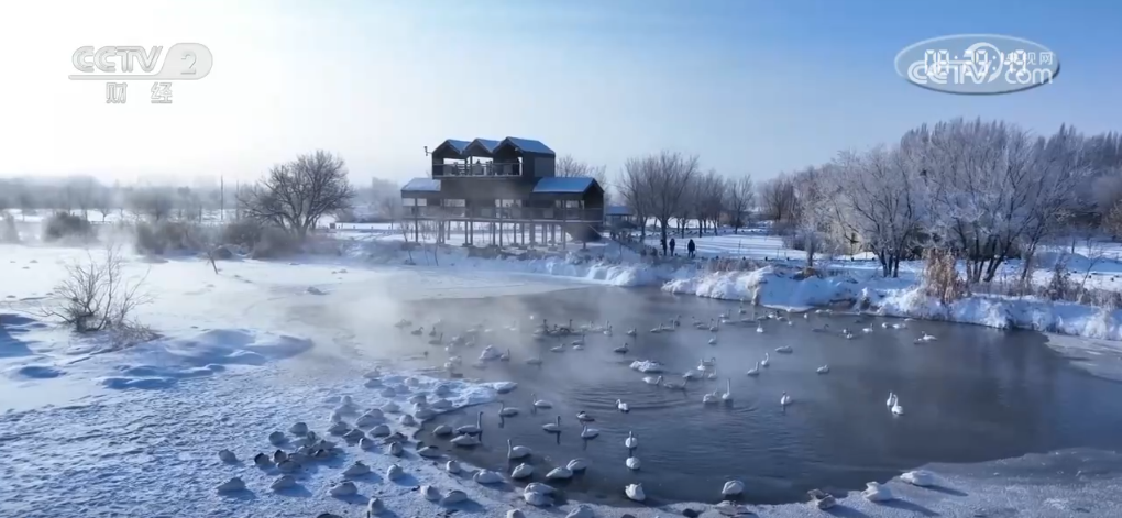 
上海儿童医院黄牛代挂号电话票贩子号贩子网上预约挂号,住院检查加快,雪域风光“邂逅”民俗风情 大美新疆春节氛围感十足