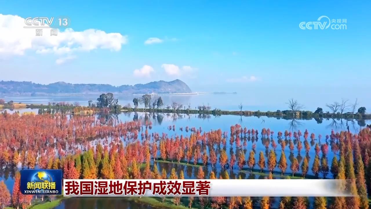 
首都医科大学附属北京胸科医院黄牛代挂号电话票贩子号贩子网上预约挂号,住院检查加快,我国湿地保护成效显著