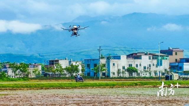 
广州肿瘤医院黄牛代挂号电话票贩子号贩子网上预约挂号,住院检查加快,文化中国行·立春｜福到人间草木新，轻鞭春牛祈丰年