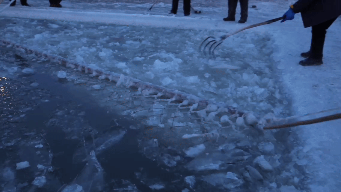 北京大学第三医院黄牛代挂号电话票贩子号贩子网上预约挂号,住院检查加快,在“尔滨”|看亚冬之城燃动冰雪激情