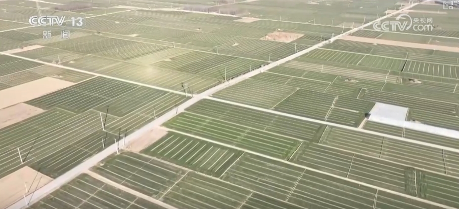 
北京中日友好医院黄牛代挂号电话票贩子号贩子网上预约挂号,住院检查加快,“科技+”助力各主产区抓好冬小麦田管 打牢丰收基础