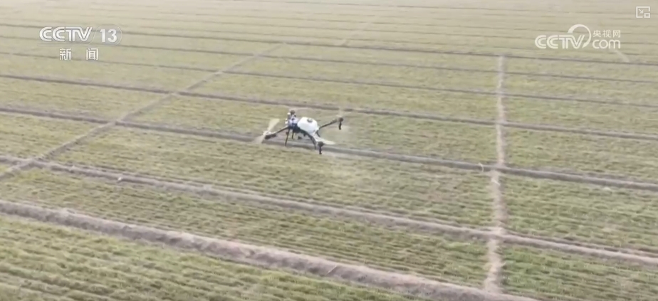 
北京中日友好医院黄牛代挂号电话票贩子号贩子网上预约挂号,住院检查加快,“科技+”助力各主产区抓好冬小麦田管 打牢丰收基础