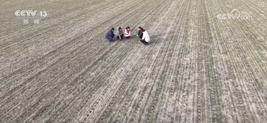 
北京中日友好医院黄牛代挂号电话票贩子号贩子网上预约挂号,住院检查加快,“科技+”助力各主产区抓好冬小麦田管 打牢丰收基础