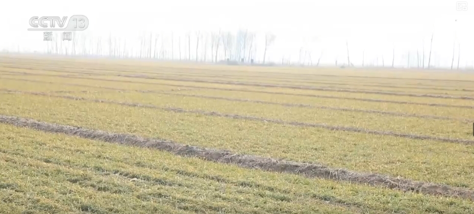 
北京中日友好医院黄牛代挂号电话票贩子号贩子网上预约挂号,住院检查加快,“科技+”助力各主产区抓好冬小麦田管 打牢丰收基础