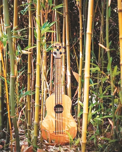 
北京八大处整形医院黄牛代挂号电话票贩子号贩子网上预约挂号,住院检查加快,小竹子做成大产业