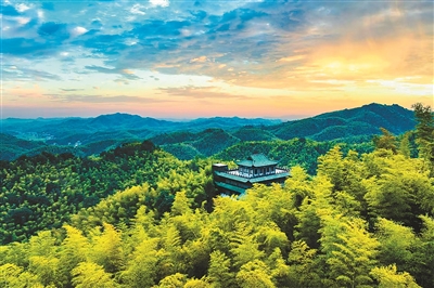 
北京八大处整形医院黄牛代挂号电话票贩子号贩子网上预约挂号,住院检查加快,小竹子做成大产业