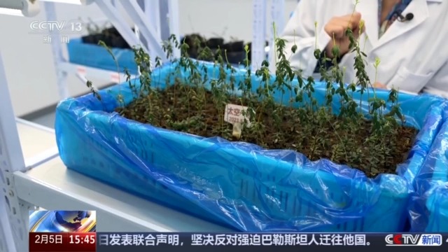 
杭州各大医院黄牛代挂号电话票贩子号贩子网上预约挂号,住院检查加快,黑土地、黑科技、黑色资源 一起了解亚冬会里的黑色密码