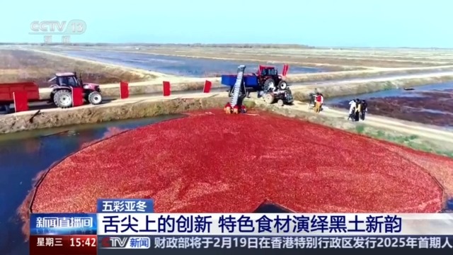 
杭州各大医院黄牛代挂号电话票贩子号贩子网上预约挂号,住院检查加快,黑土地、黑科技、黑色资源 一起了解亚冬会里的黑色密码