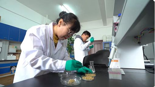 
浙江大学儿童医院黄牛代挂号电话票贩子号贩子网上预约挂号,住院检查加快,让“中国饭碗”装进更多“吉林粮”