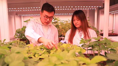 
浙江大学儿童医院黄牛代挂号电话票贩子号贩子网上预约挂号,住院检查加快,让“中国饭碗”装进更多“吉林粮”