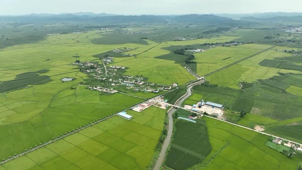 
江苏省人民医院黄牛代挂号电话票贩子号贩子网上预约挂号,住院检查加快,时政微视频丨瞰吉林