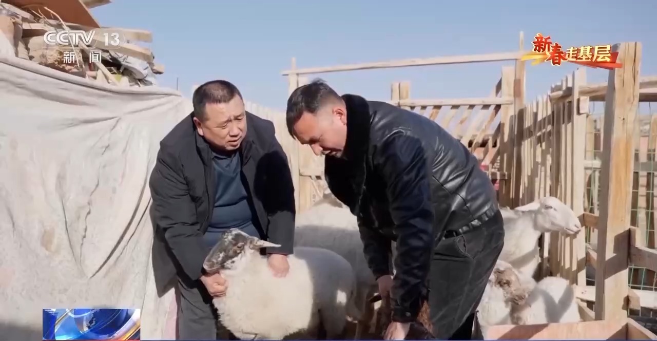 
长春吉大一院黄牛代挂号电话票贩子号贩子网上预约挂号,住院检查加快,新春走基层丨养羊结缘新邻居 这个社区的氛围为啥这么好？