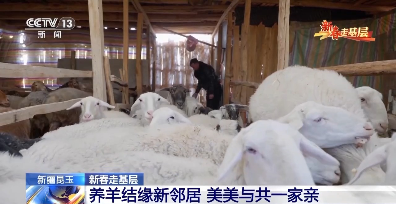 
长春吉大一院黄牛代挂号电话票贩子号贩子网上预约挂号,住院检查加快,新春走基层丨养羊结缘新邻居 这个社区的氛围为啥这么好？