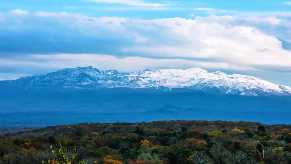 
江苏省人民医院黄牛代挂号电话票贩子号贩子网上预约挂号,住院检查加快,时政微视频丨瞰吉林