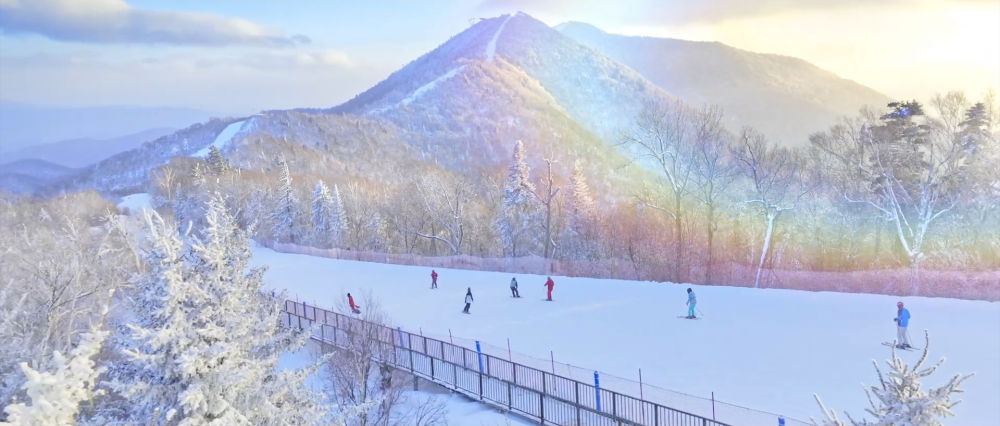
西安西京医院黄牛代挂号电话票贩子号贩子网上预约挂号,住院检查加快,微视频｜“尔滨”之冬 热“雪”沸腾