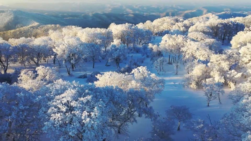
江苏省人民医院黄牛代挂号电话票贩子号贩子网上预约挂号,住院检查加快,时政微视频丨瞰吉林