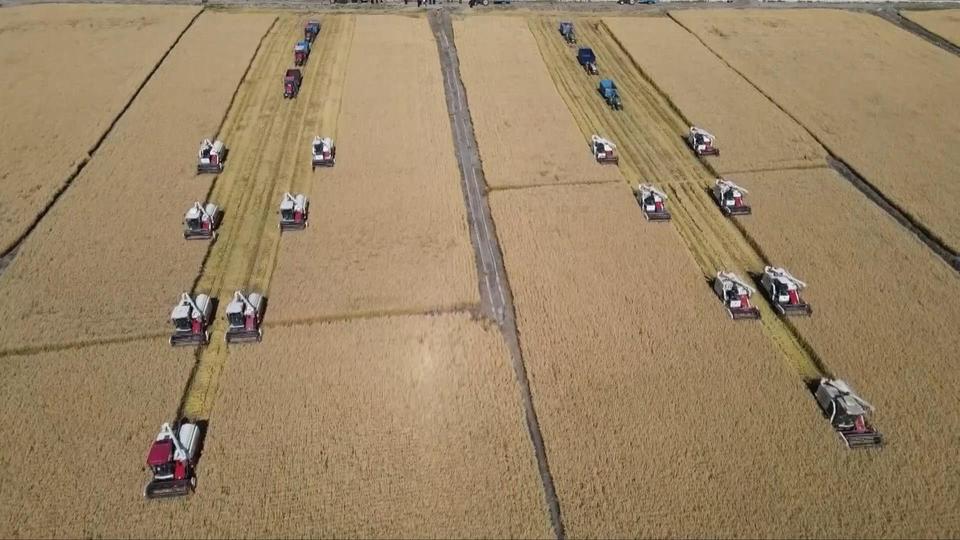 
江苏省人民医院黄牛代挂号电话票贩子号贩子网上预约挂号,住院检查加快,时政微视频丨瞰吉林