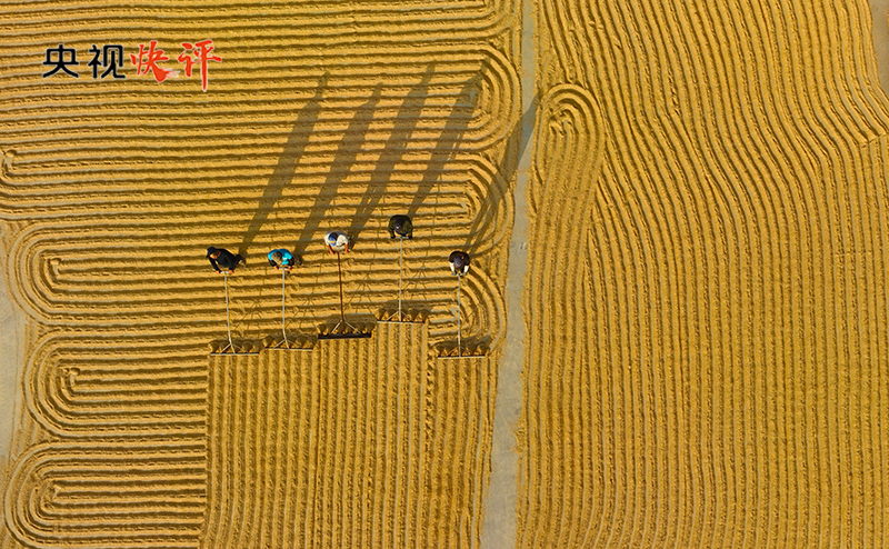 
天津肿瘤医院黄牛代挂号电话票贩子号贩子网上预约挂号,住院检查加快,【央视快评】抓住机遇 乘势而上 勇于创新 苦干实干