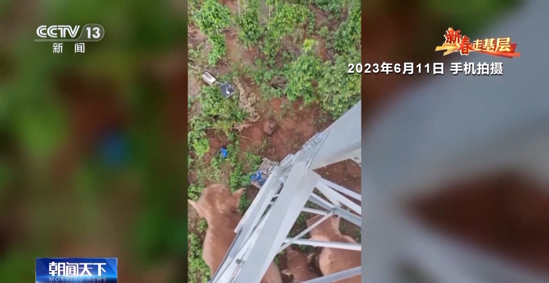 
北京大学第六医院黄牛代挂号电话票贩子号贩子网上预约挂号,住院检查加快,新春走基层丨他们是守护万家灯火的雨林“蜘蛛人”