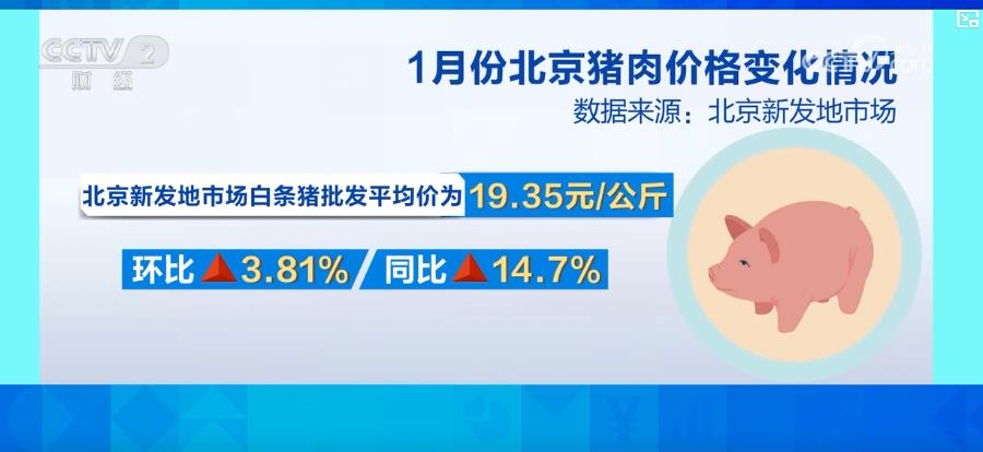 
北京肿瘤医院黄牛代挂号电话票贩子号贩子网上预约挂号,住院检查加快,春节过后“菜篮子”供应充足 价格平稳回落
