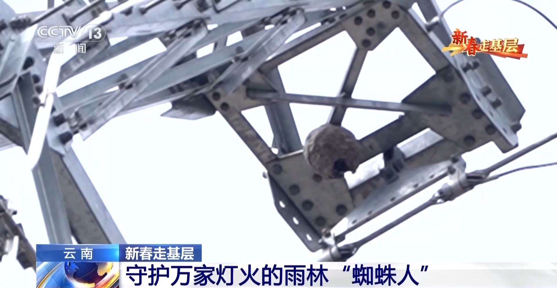 
北京大学第六医院黄牛代挂号电话票贩子号贩子网上预约挂号,住院检查加快,新春走基层丨他们是守护万家灯火的雨林“蜘蛛人”