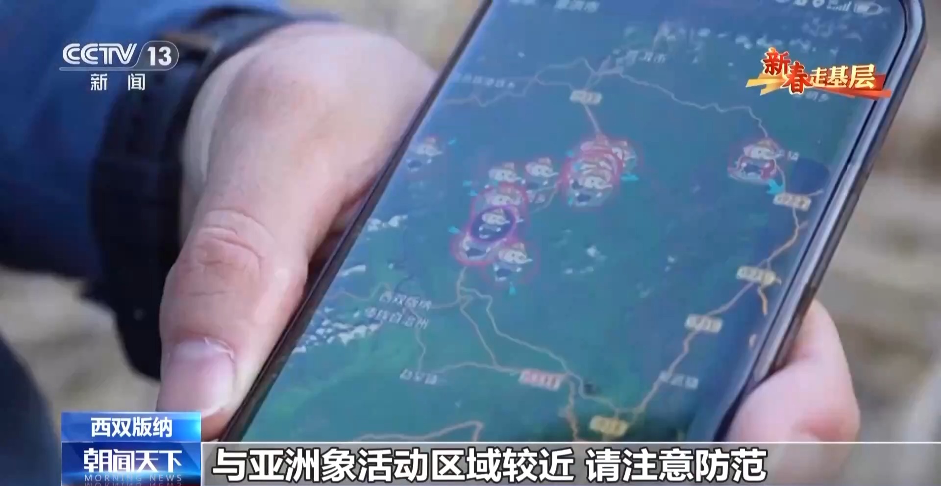 
北京大学第六医院黄牛代挂号电话票贩子号贩子网上预约挂号,住院检查加快,新春走基层丨他们是守护万家灯火的雨林“蜘蛛人”