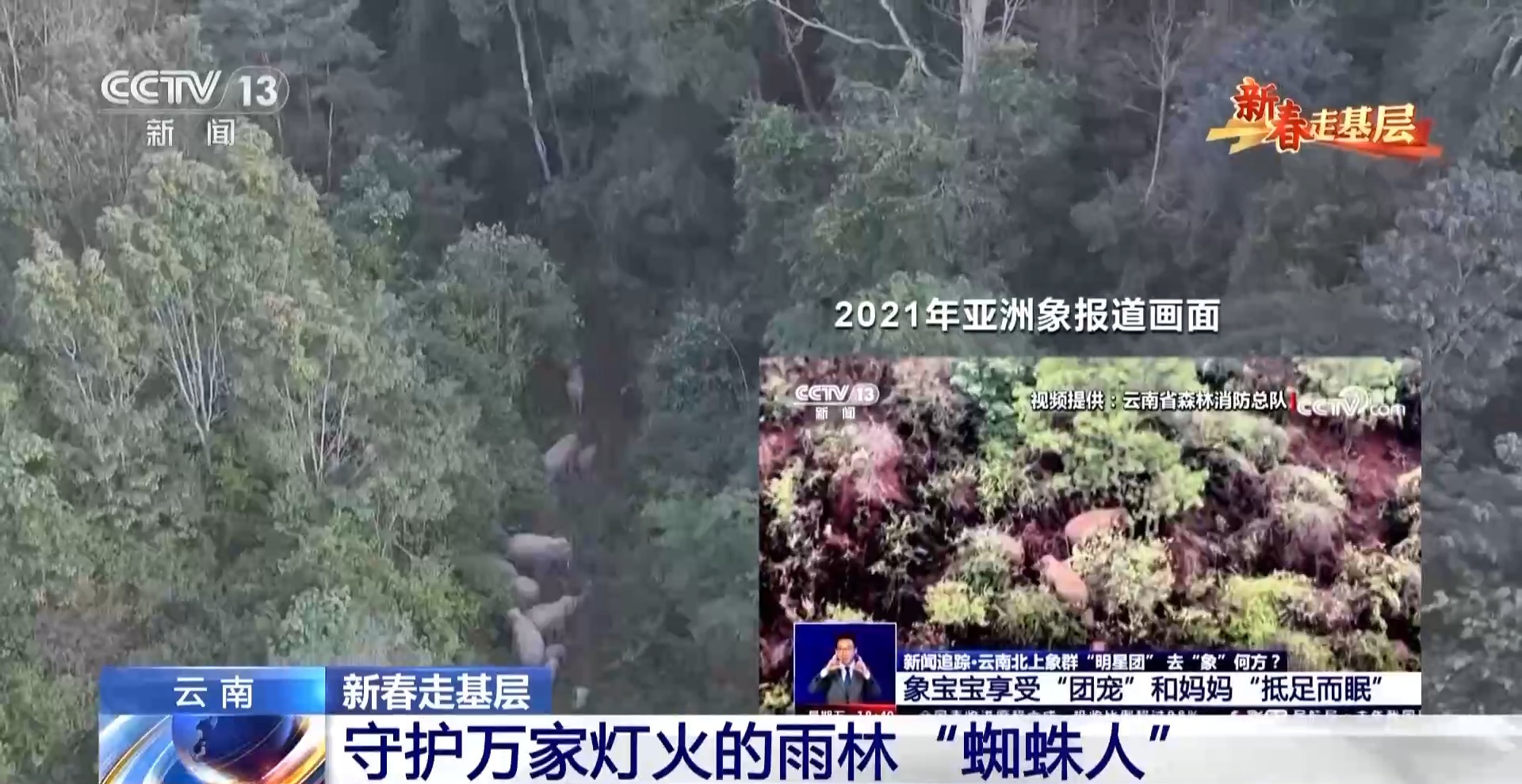 
北京大学第六医院黄牛代挂号电话票贩子号贩子网上预约挂号,住院检查加快,新春走基层丨他们是守护万家灯火的雨林“蜘蛛人”