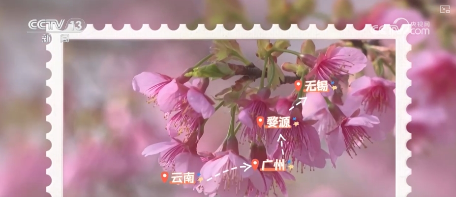 
广州市第一人民医院黄牛代挂号电话票贩子号贩子网上预约挂号,住院检查加快,鲜花争“鲜”绽放带暖美丽经济 “赏花+”扮“靓”经济新增长点