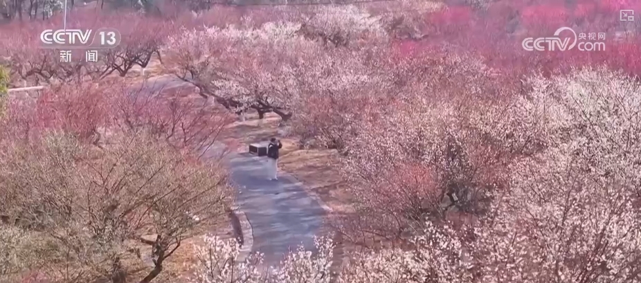 
广州市第一人民医院黄牛代挂号电话票贩子号贩子网上预约挂号,住院检查加快,鲜花争“鲜”绽放带暖美丽经济 “赏花+”扮“靓”经济新增长点